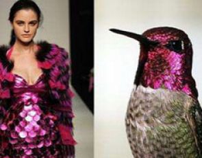 Donatella Versace zakochana w Kristian Aadnevik